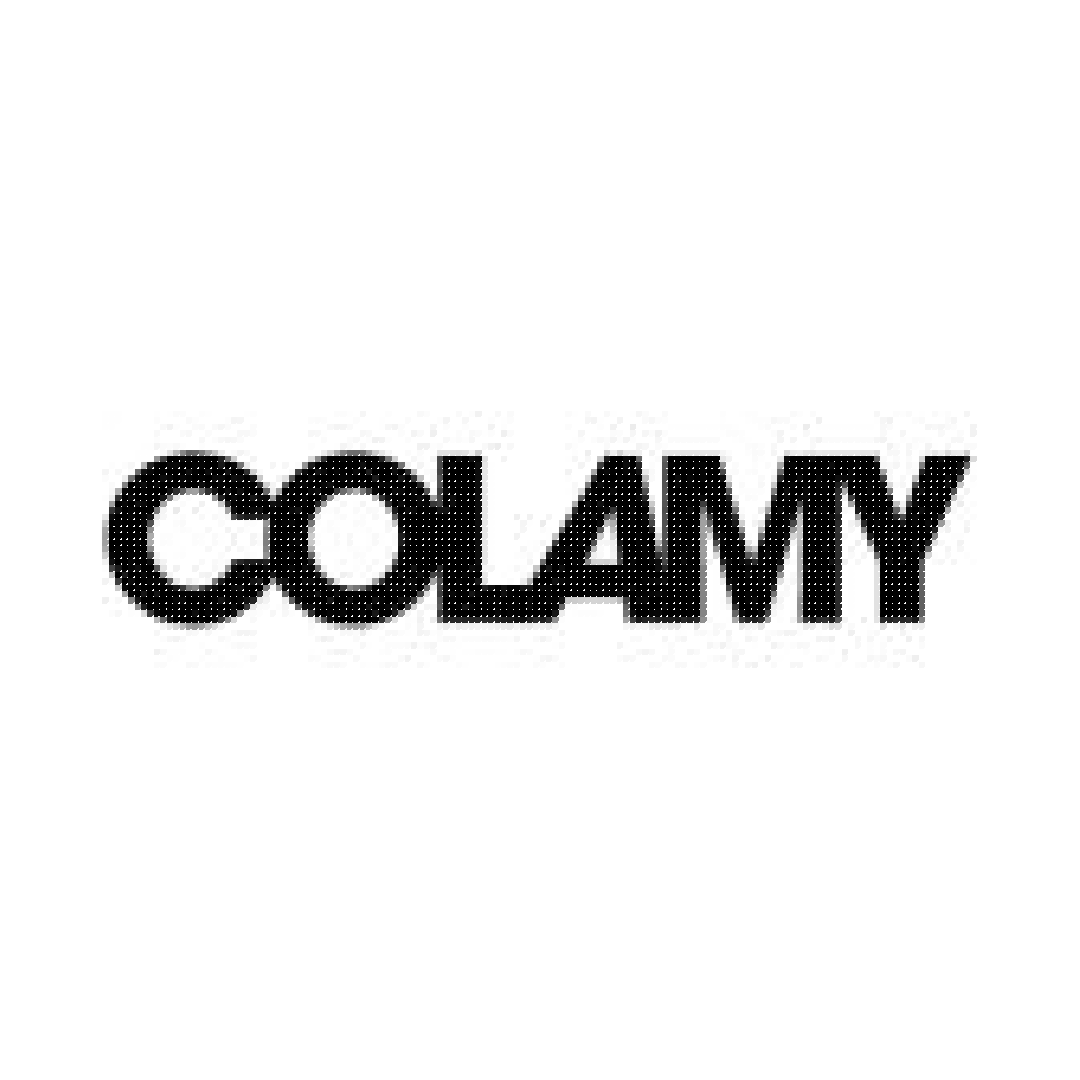 COLAMY